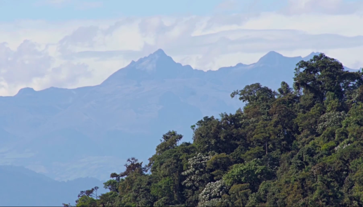 Mining Concessions in Ecuador