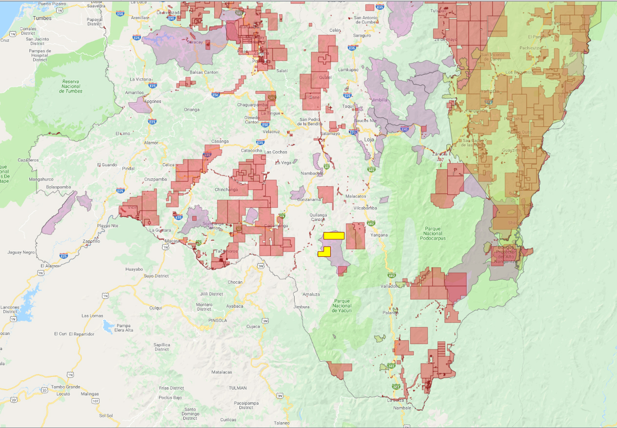 RAINFOREST ACTION GROUP BHP CONCESSIONS SOUTH OF ECUADOR