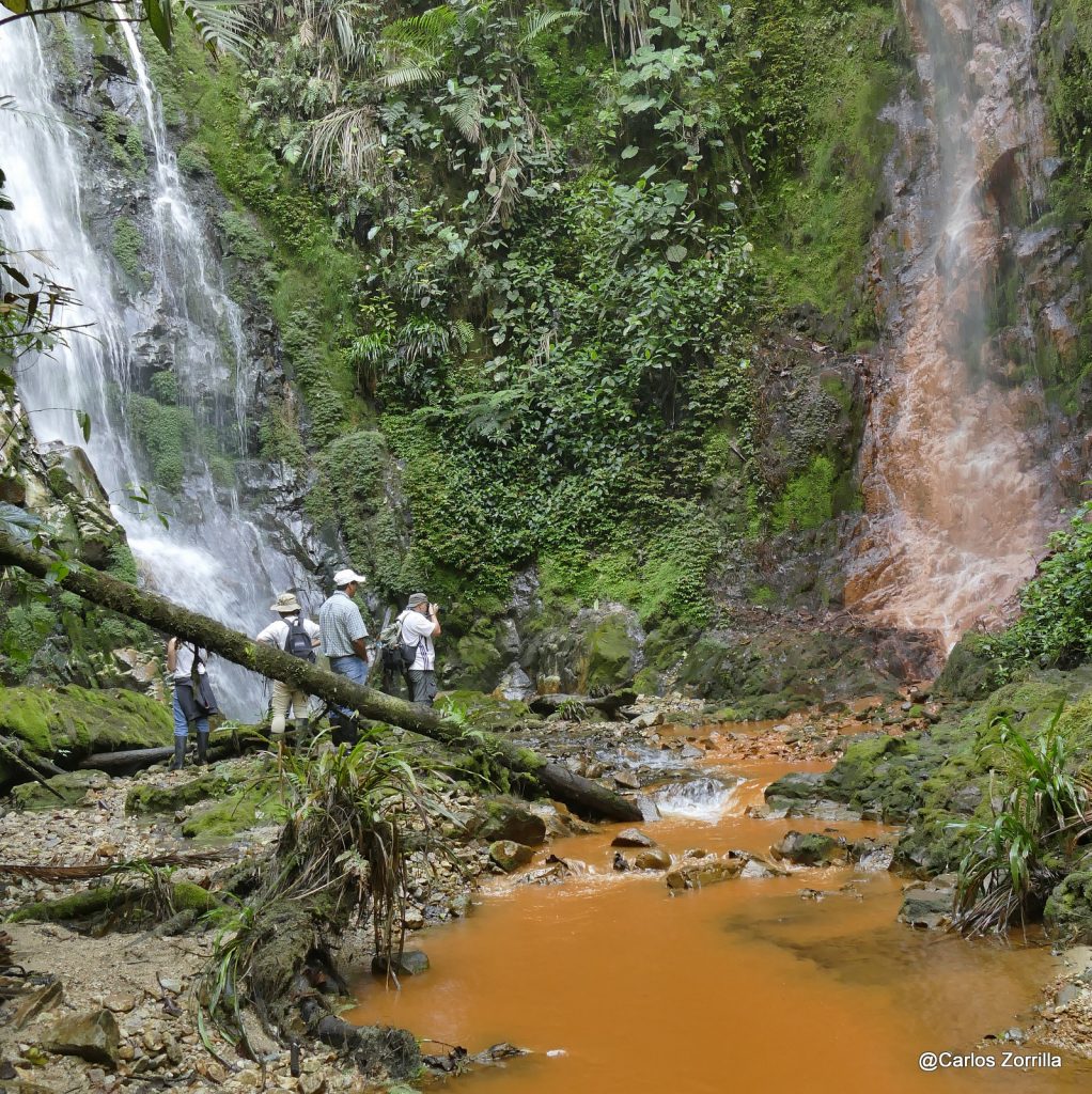 Caso Llurimagua parece perdido por el Ministerio de Medio Ambiente de Ecuador